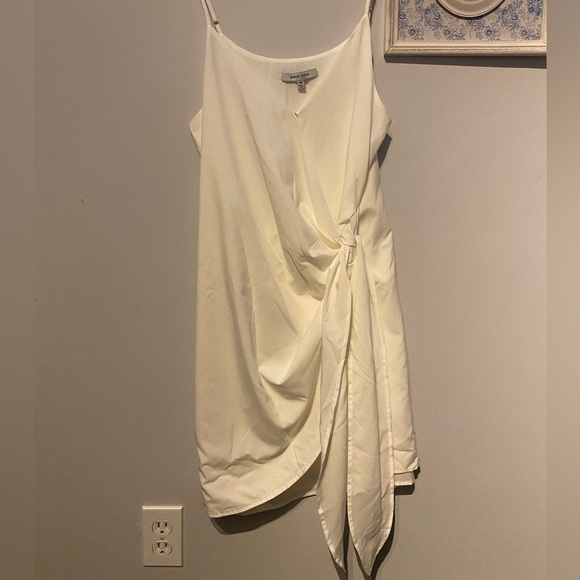 Naked Zebra Dress - Picture 2 of 3